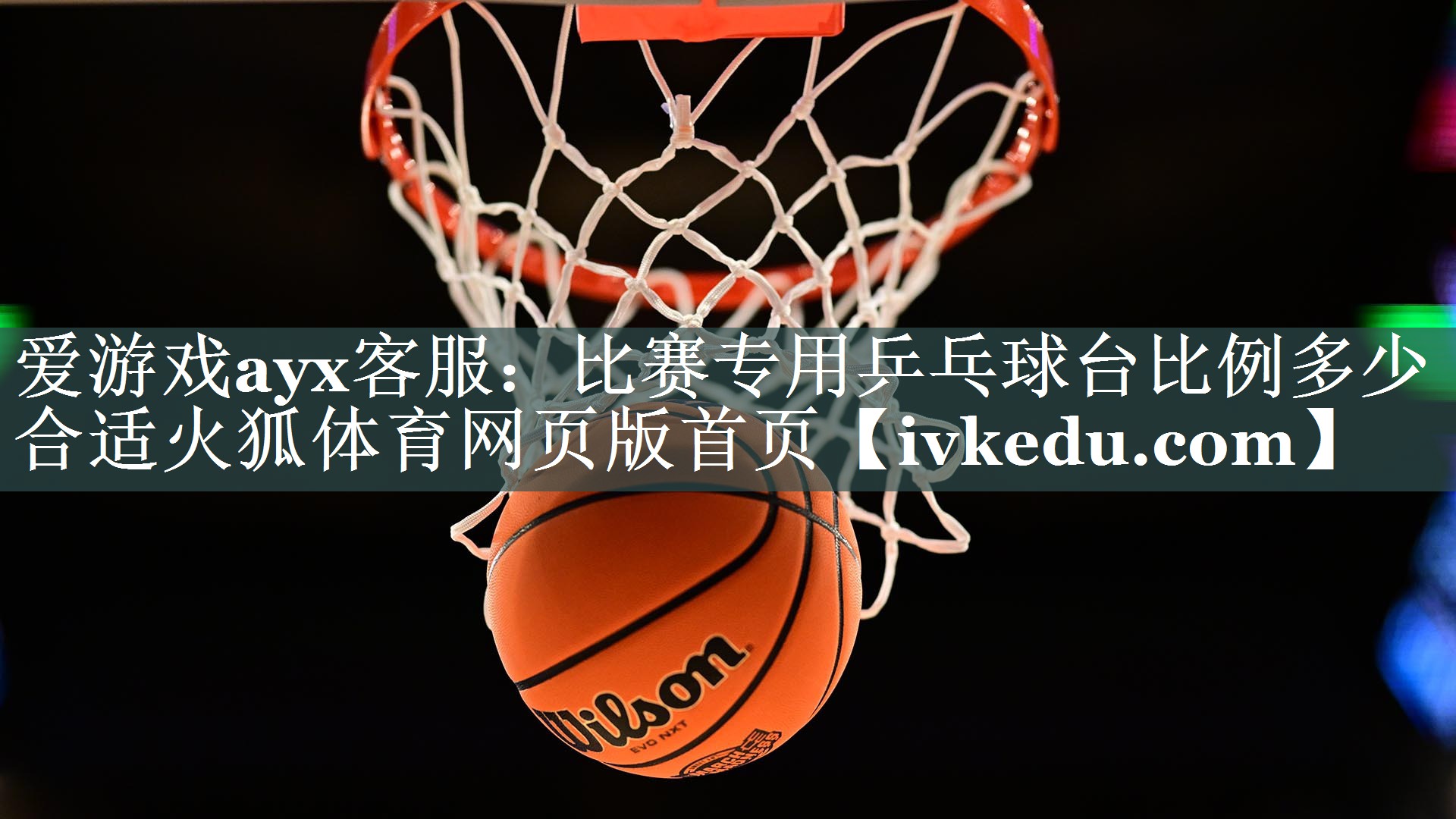 爱游戏ayx客服：比赛专用乒乓球台比例多少合适火狐体育网页版首页