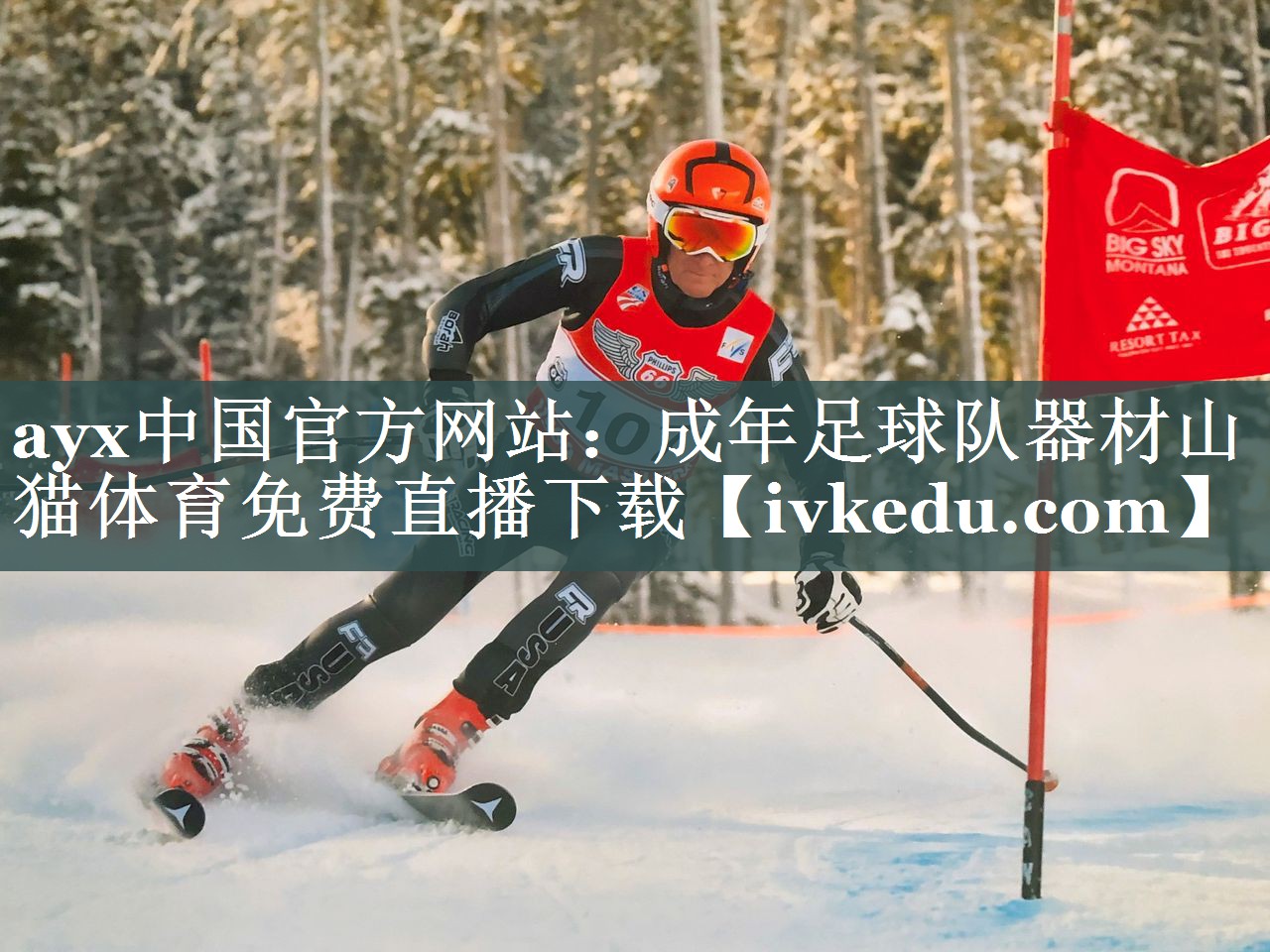 ayx中国官方网站：成年足球队器材山猫体育免费直播下载