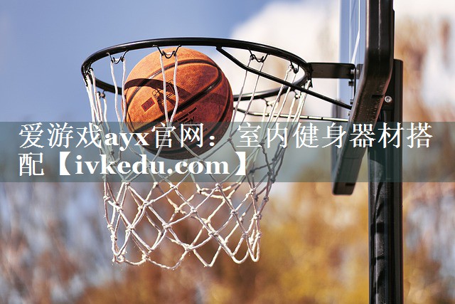 爱游戏ayx官网：室内健身器材搭配