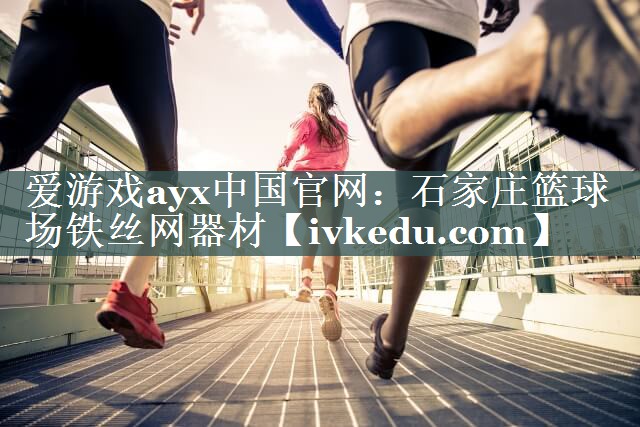 爱游戏ayx中国官网：石家庄篮球场铁丝网器材