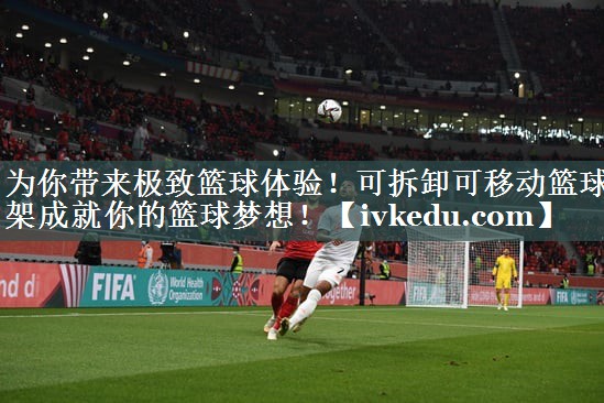 为你带来极致篮球体验！可拆卸可移动篮球架成就你的篮球梦想！