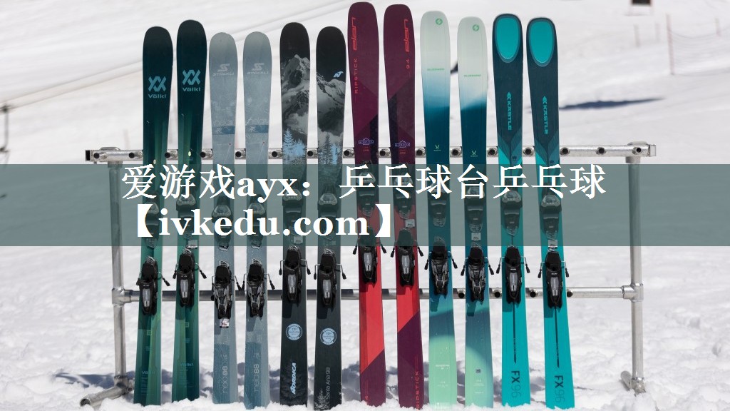 爱游戏ayx：乒乓球台乒乓球
