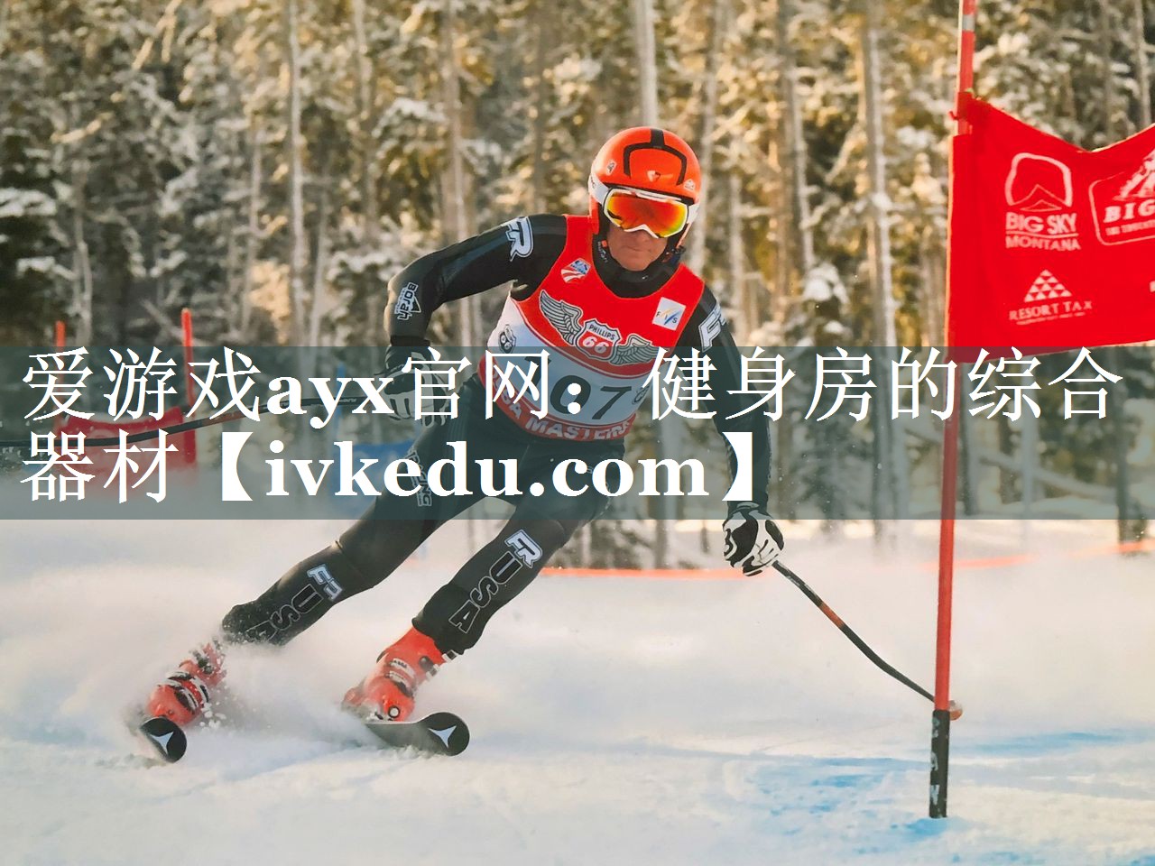 爱游戏ayx官网：健身房的综合器材