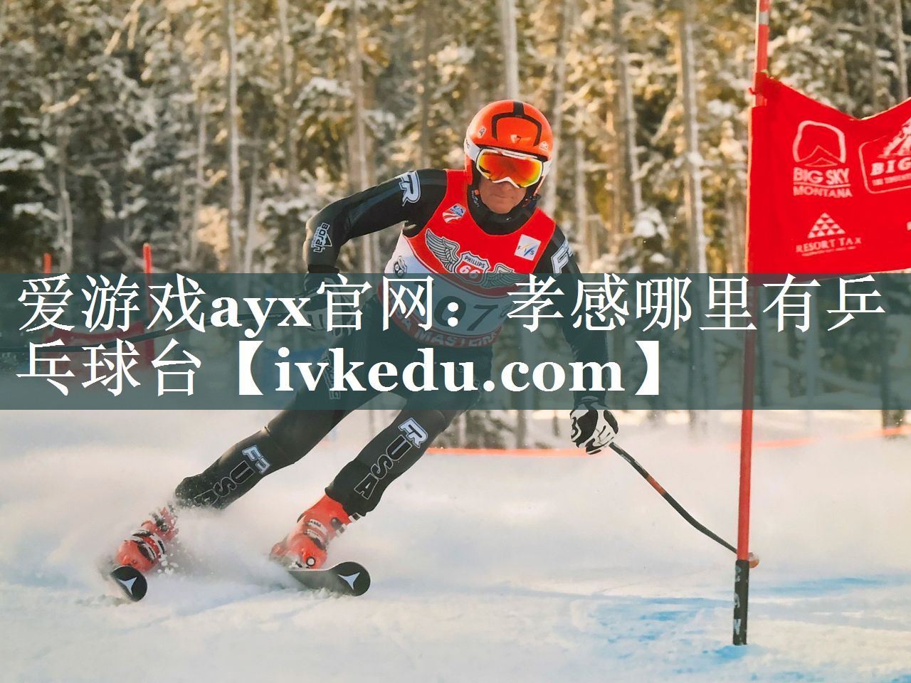 爱游戏ayx官网：孝感哪里有乒乓球台