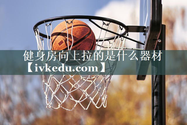 健身房向上拉的是什么器材