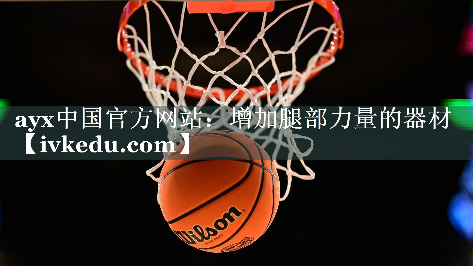 ayx中国官方网站：增加腿部力量的器材