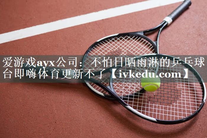 爱游戏ayx公司：不怕日晒雨淋的乒乓球台即嗨体育更新不了