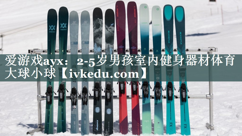 爱游戏ayx：2-5岁男孩室内健身器材体育大球小球