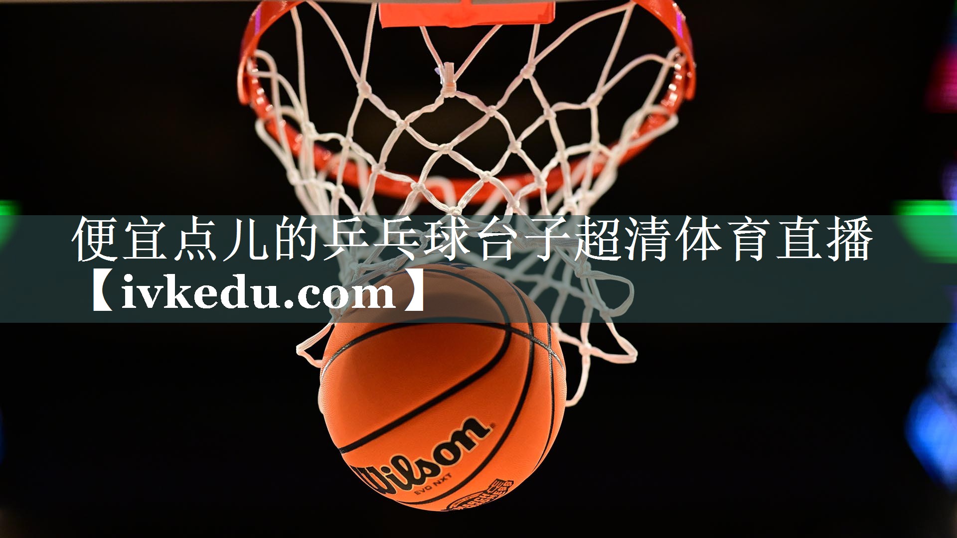 便宜点儿的乒乓球台子超清体育直播