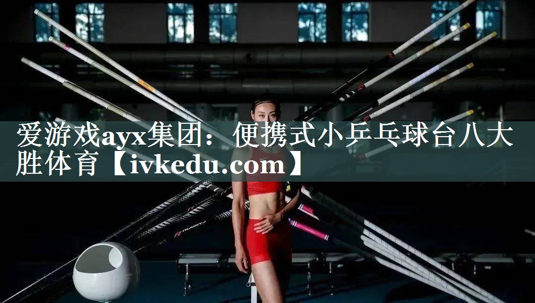 爱游戏ayx集团：便携式小乒乓球台八大胜体育