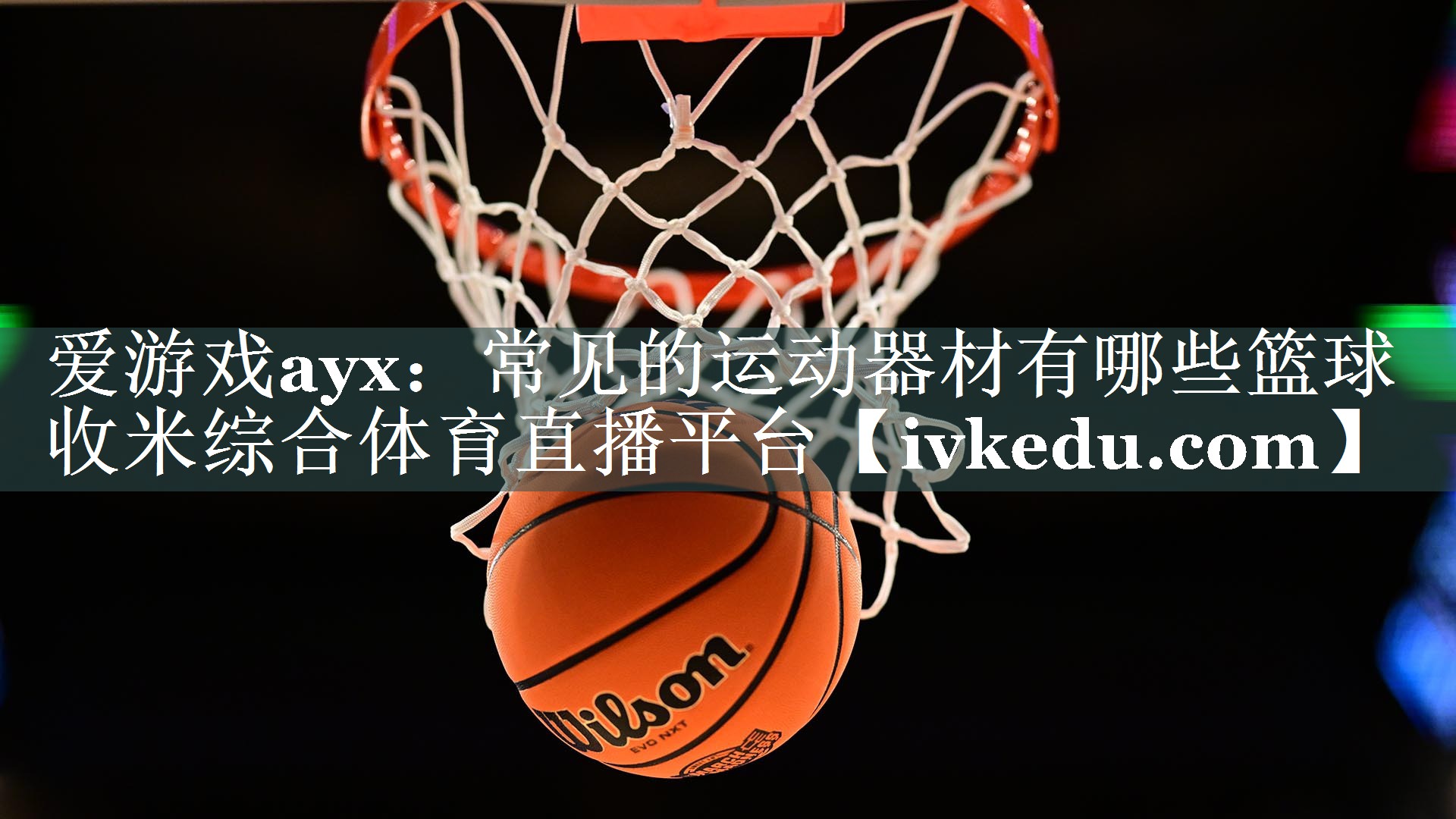 爱游戏ayx：常见的运动器材有哪些篮球收米综合体育直播平台