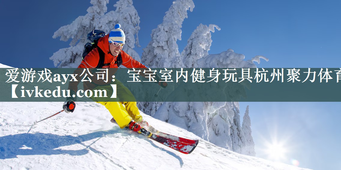 爱游戏ayx公司：宝宝室内健身玩具杭州聚力体育
