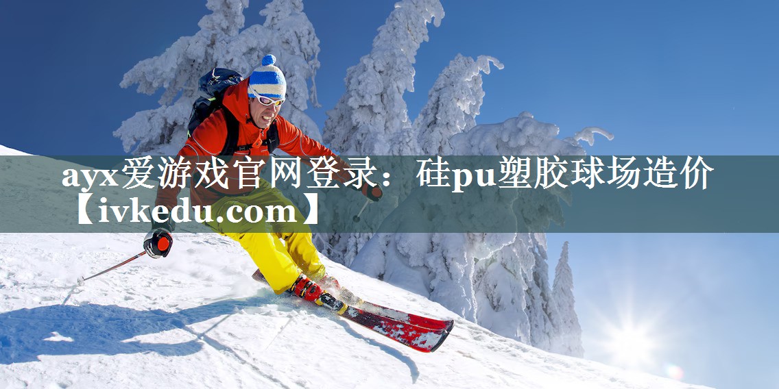 硅pu塑胶球场造价 硅pu塑胶球场造价