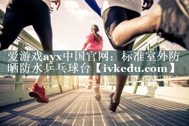 标准室外防晒防水乒乓球台