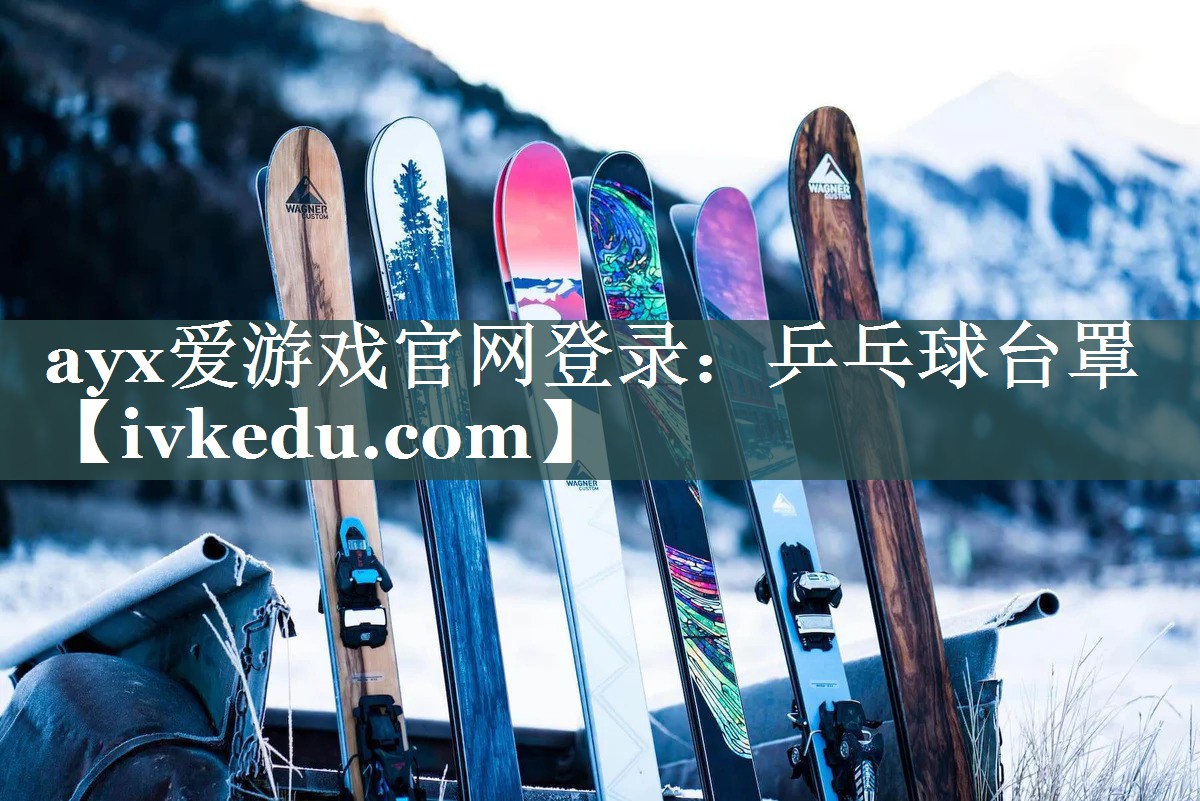 乒乓球台罩 乒乓球台罩