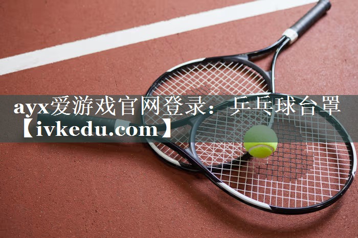 乒乓球台罩 乒乓球台罩