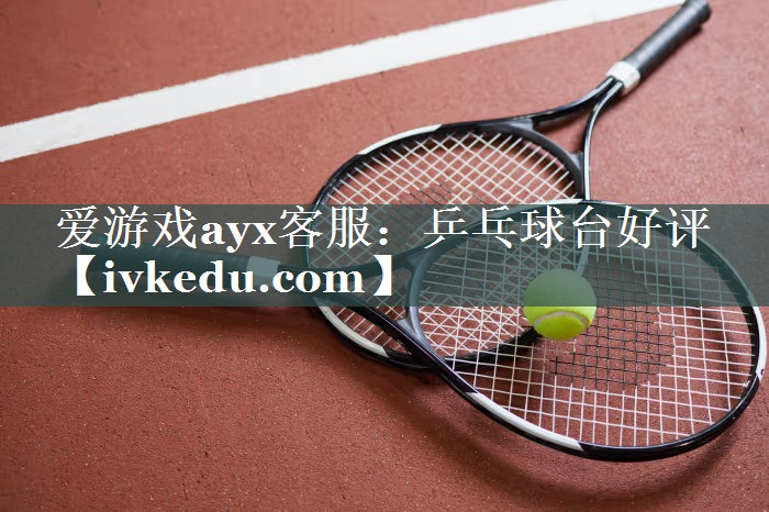 乒乓球台好评 乒乓球台好评
