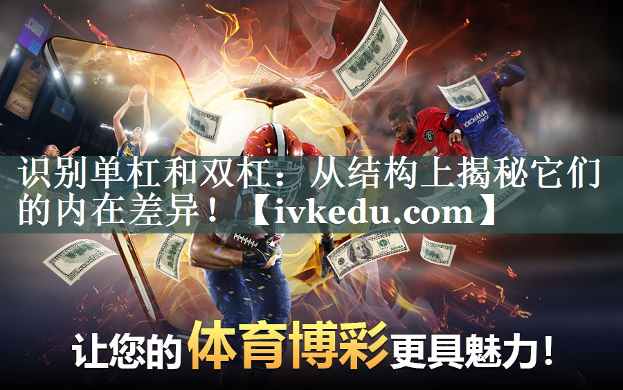 识别单杠和双杠:从结构上揭秘它们的内在差异! 识别单杠和双杠:从结构上揭秘它们的内在差异!