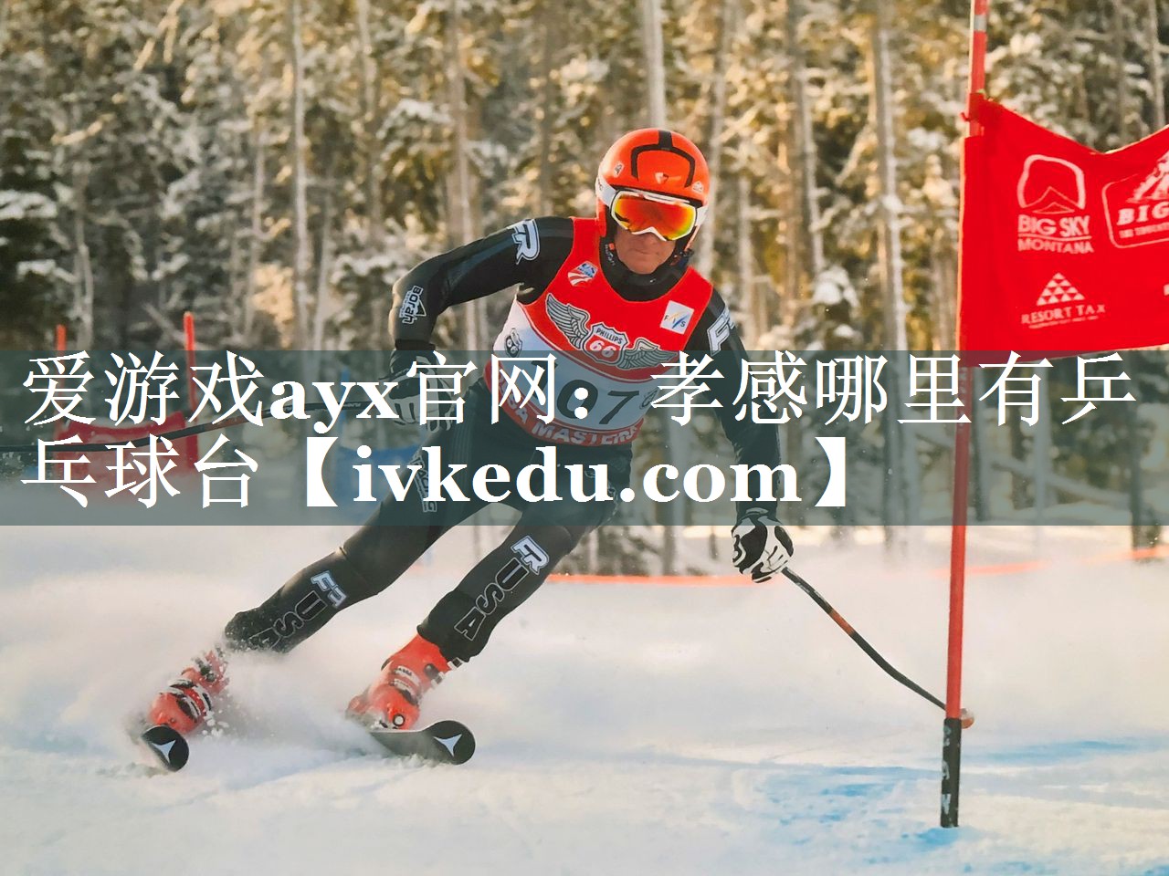 孝感哪里有乒乓球台 孝感哪里有乒乓球台