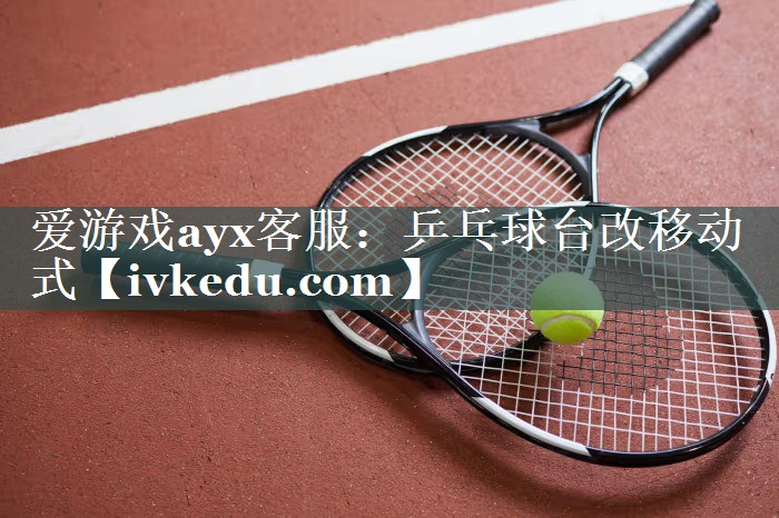 乒乓球台改移动式 乒乓球台改移动式