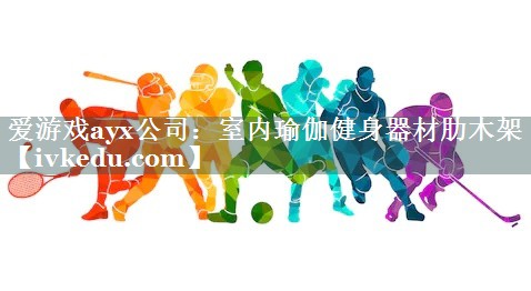 室内瑜伽健身器材肋木架